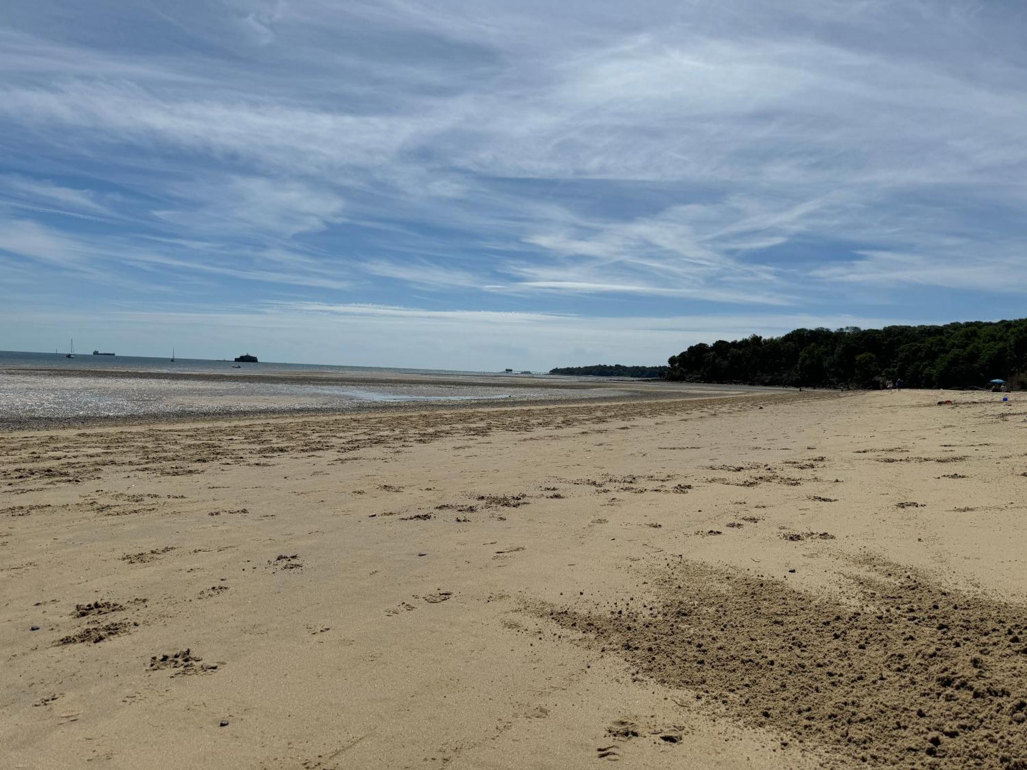 Trafalgar, Lovely Ground Floor Flat With Outside Patio Garden, Minutes Walk To Seafront Seaview Buitenkant foto
